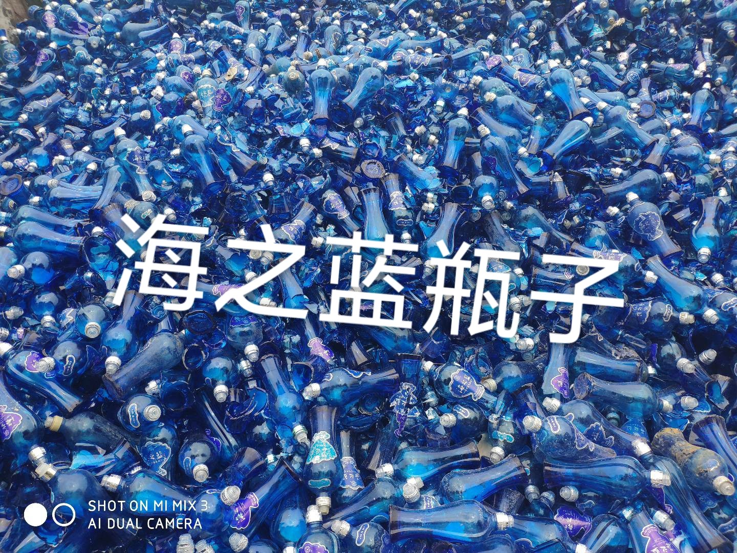秦淮区海之蓝瓶回收